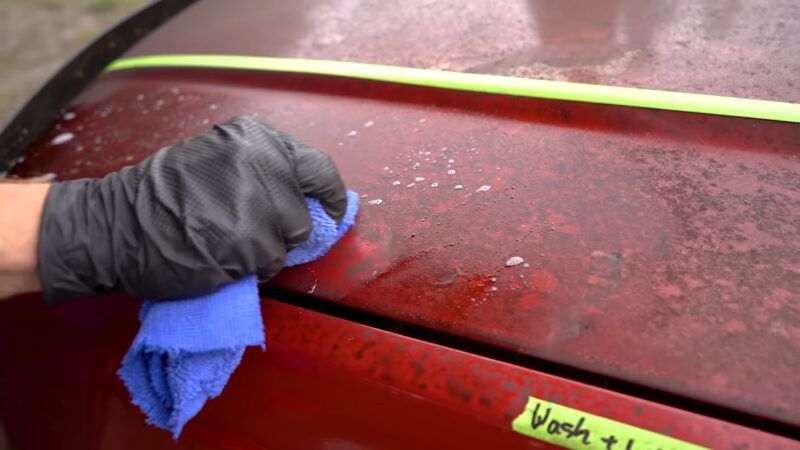 Tree Sap Removing for the Car